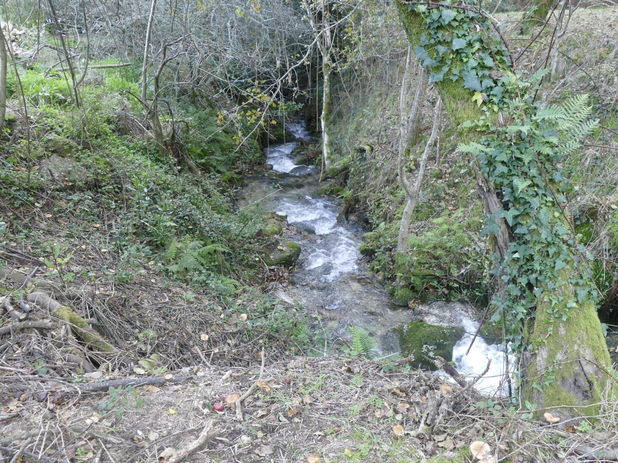 Casita A Estrenar En Finca Con Rio Proxima A Tui, Gondomar Y Portugal. المظهر الخارجي الصورة